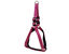 Gotoo - Harnais en Nylon Premium Rose pour Chien - L Indicateur image numéro 1