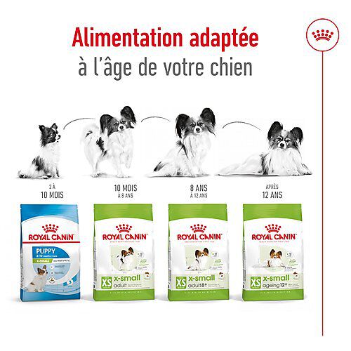Royal Canin - Croquettes X SMALL ADULT 8+ pour chiens - 3KG Image num&eacute;ro 5
