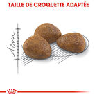Royal Canin - Croquettes Outdoor7+ pour Chats d'Extérieurs - 4Kg image number null