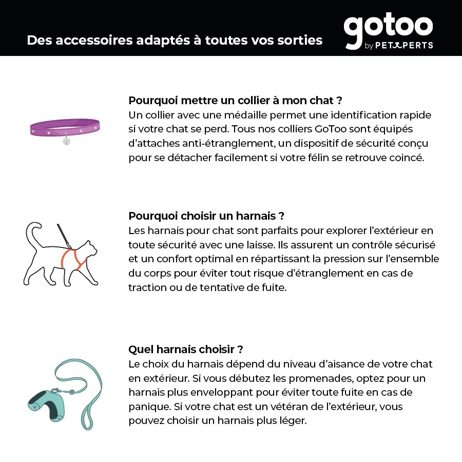 Gotoo - Set Funny pour Chat - Noir Image num&eacute;ro 8