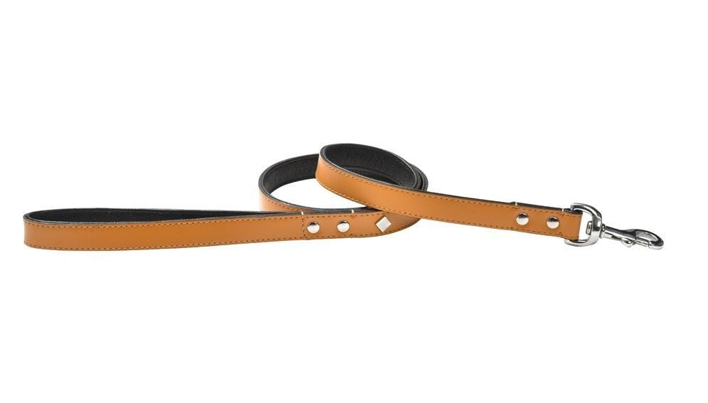 Bobby - Laisse Tomy Moutarde pour Chiens - 105cm Image num&eacute;ro 1