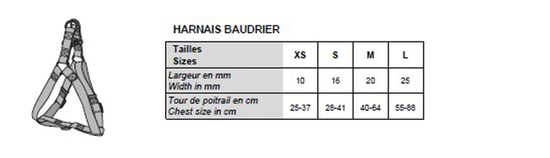 Bobby - Harnais Baudrier Happy Rose XS pour Chiens - XS 37cm Image numéro 2 Bobby - Harnais Baudrier Happy Rose XS pour Chiens - XS 37cm Image numéro 2