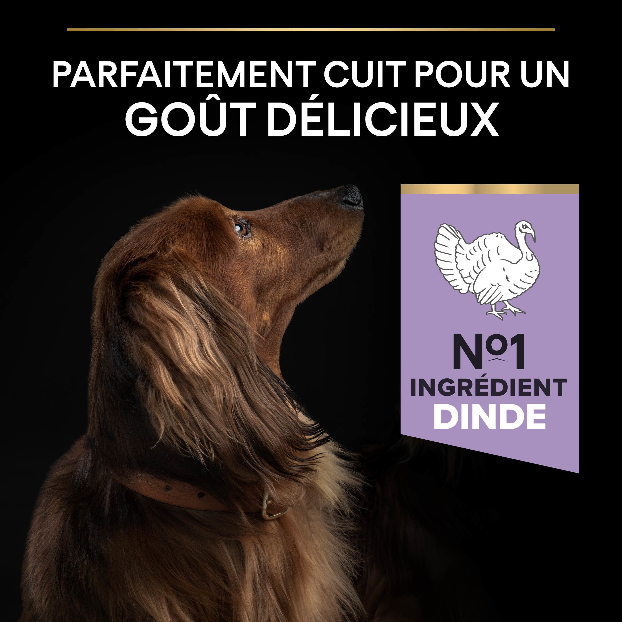 Pro Plan - Croquettes OPTIDIGEST Small & Mini Adult Sans C&eacute;r&eacute;ales Dinde pour Chien - 7Kg Image num&eacute;ro 6