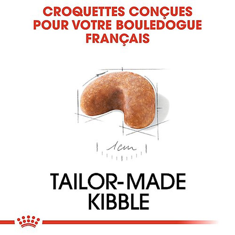 Royal Canin - Croquettes Bouledogue Français Junior pour Chiot - 3Kg image number null