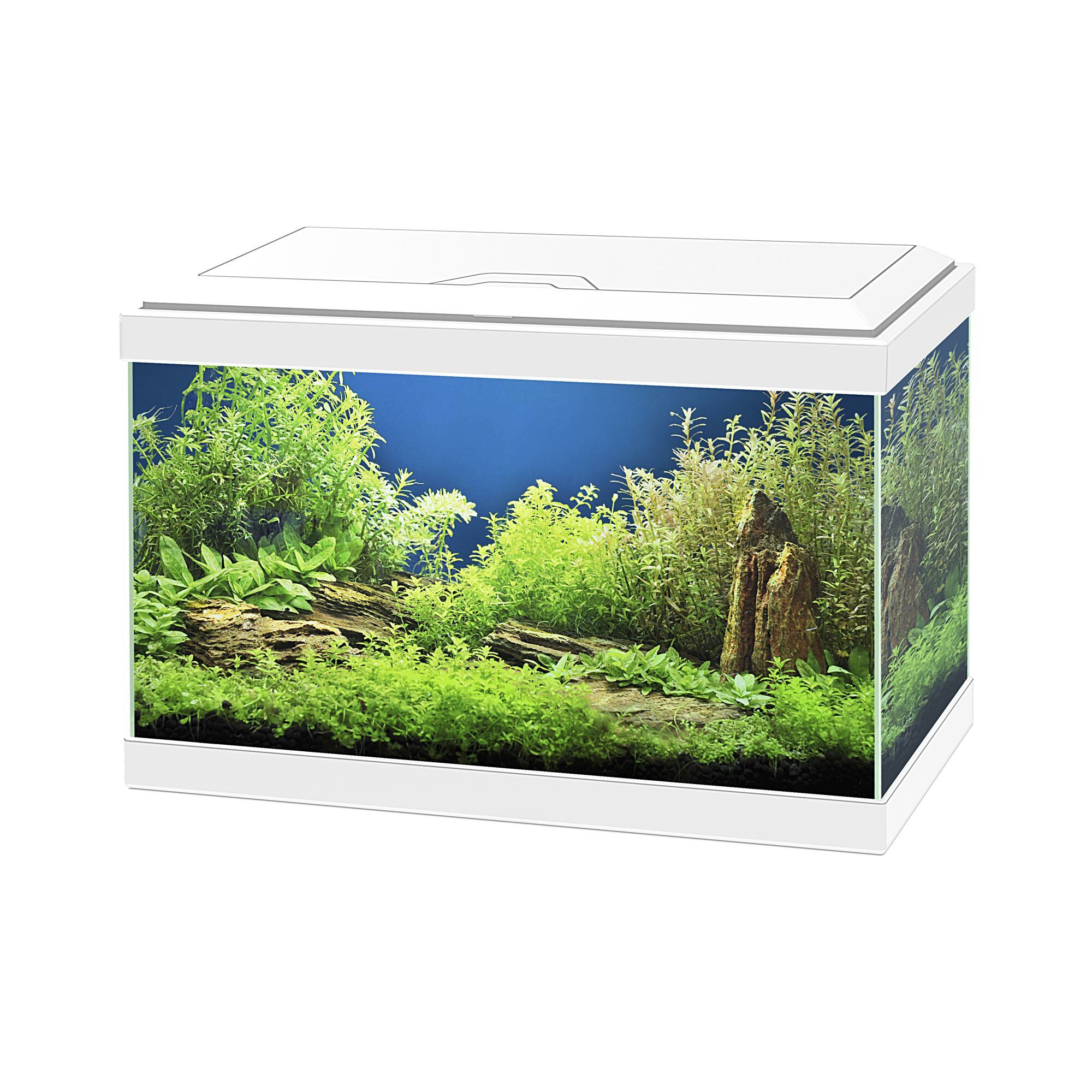 Ciano - Aquarium Classic Blanc + Filtre CF40 - 20L Image num&eacute;ro 1