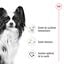 Royal Canin -  Croquettes X SMALL ADULT CHIEN DE TRES PETITE TAILLE - 500G Indicateur image numéro 10