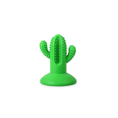 Tootoy! - Jouet Dentaire Cactus