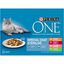 Purina One - Multipack Effilés en Sauce 4 Variétés pour Chat Stérilisé - 8x85g Indicateur image numéro 1