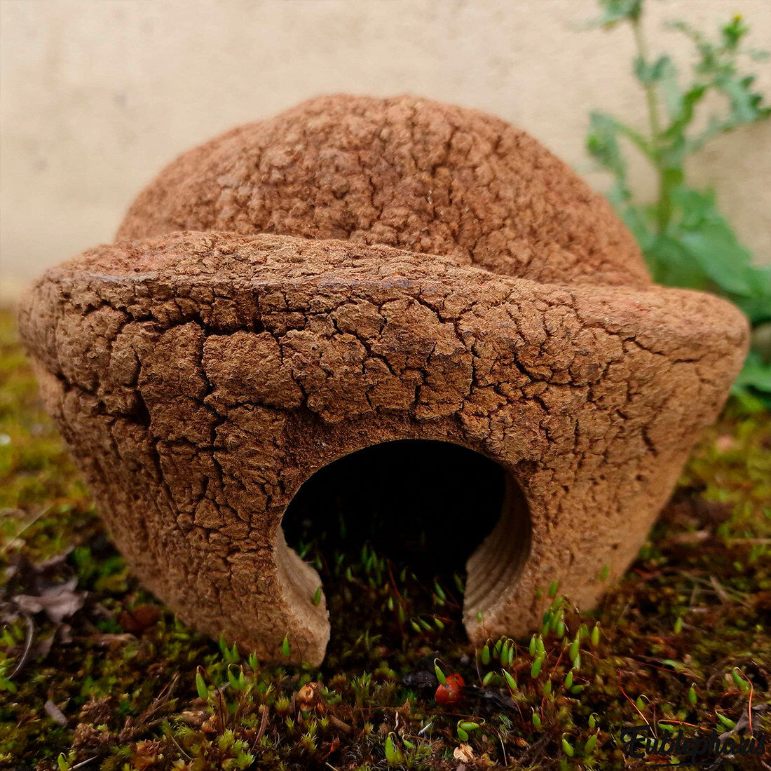 Eublepharis - Cachette Bilbo pour Reptiles - 20cm Image num&eacute;ro 6