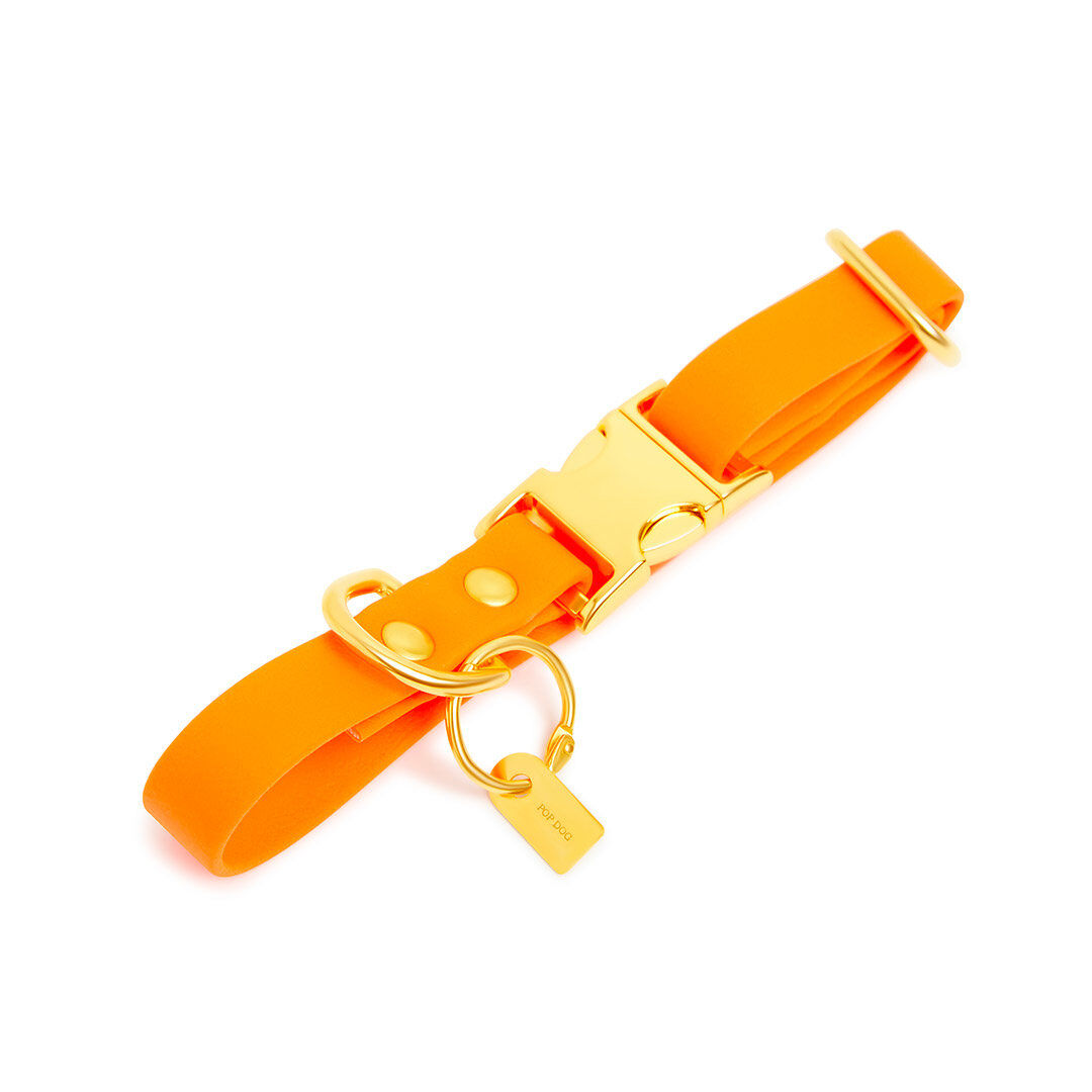 Pop Dog - Collier Pitchoune Orange pour Chien - S Image num&eacute;ro 1