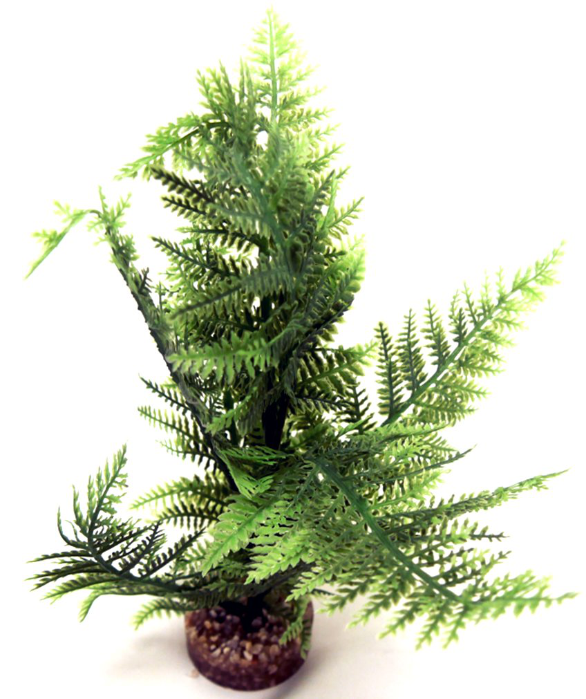 Labeo - Foug&egrave;re - Plante Artificielle Aquarium et Terrarium Image num&eacute;ro 3