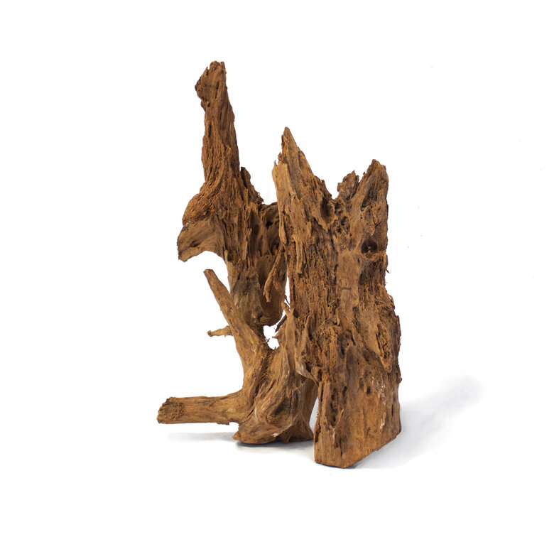 Aquavie - Décoration Racine Mangrove pour Aquarium - TGM Image numéro 2 Aquavie - Décoration Racine Mangrove pour Aquarium - TGM Image numéro 2