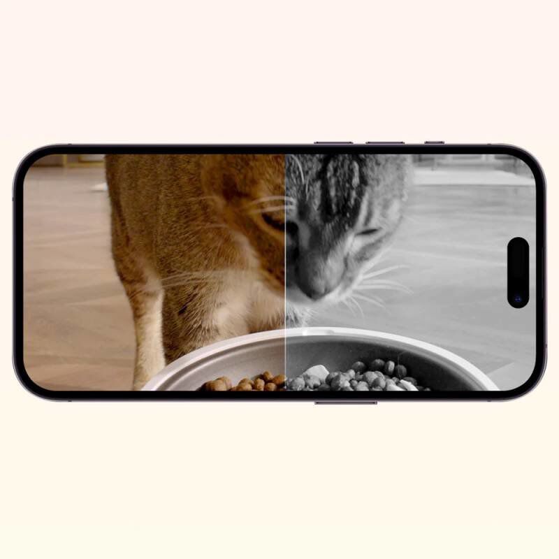 Petkit - Distributeur de Croquettes Double YumShare Dualhopper Connect&eacute; avec Cam&eacute;ra - 5L Image num&eacute;ro 10