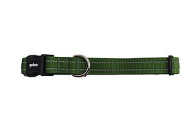 Gotoo - Collier en Nylon Premium Vert pour Chien