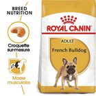 Royal Canin - Croquettes Bouledogue Français pour Chien Adulte - 3Kg image number null