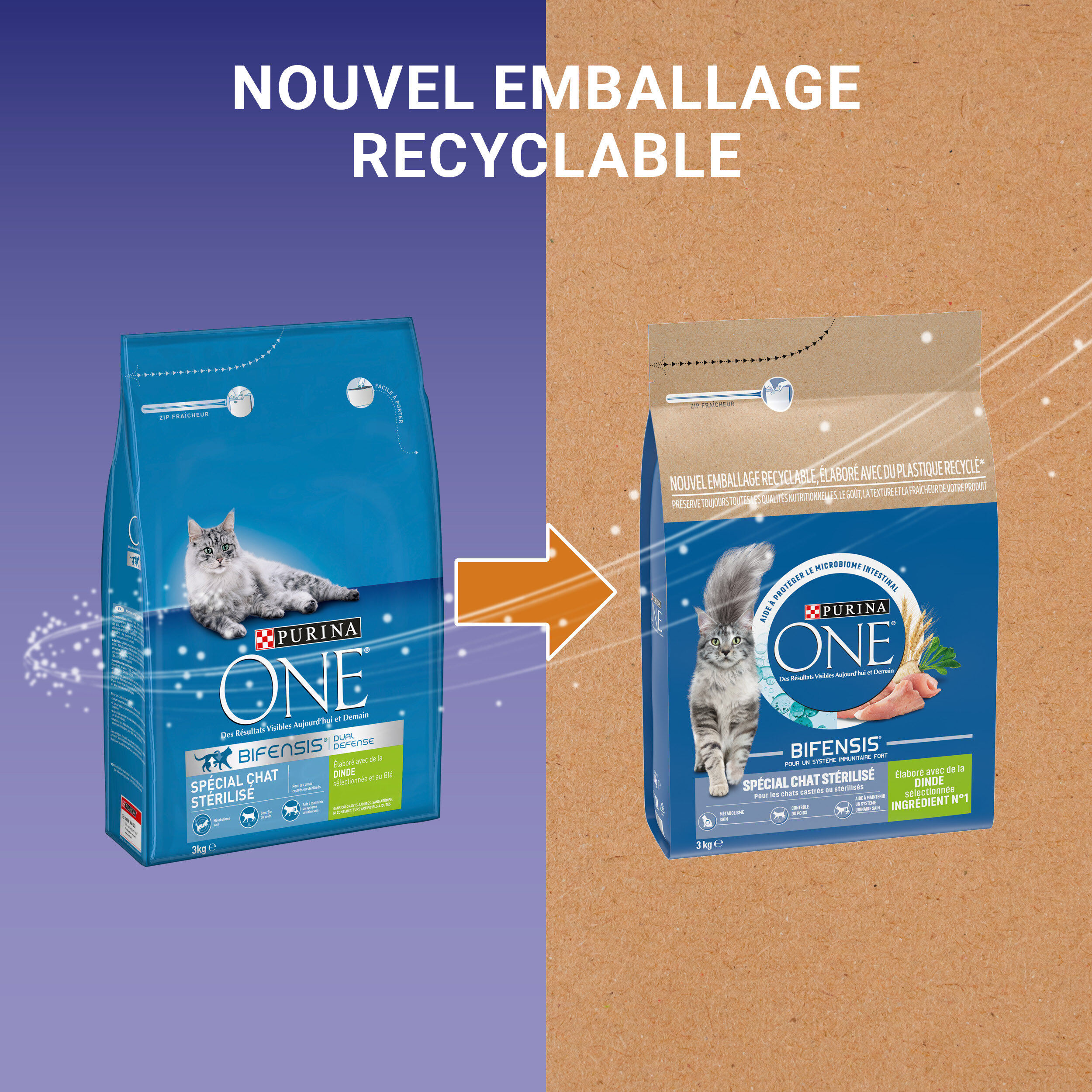 Purina One - Croquettes &agrave; la Dinde et Bl&eacute; pour Chat St&eacute;rilis&eacute; - 3Kg Image num&eacute;ro 7