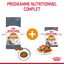 Royal Canin - Hair Skin Care 2kg Indicateur image numéro 7