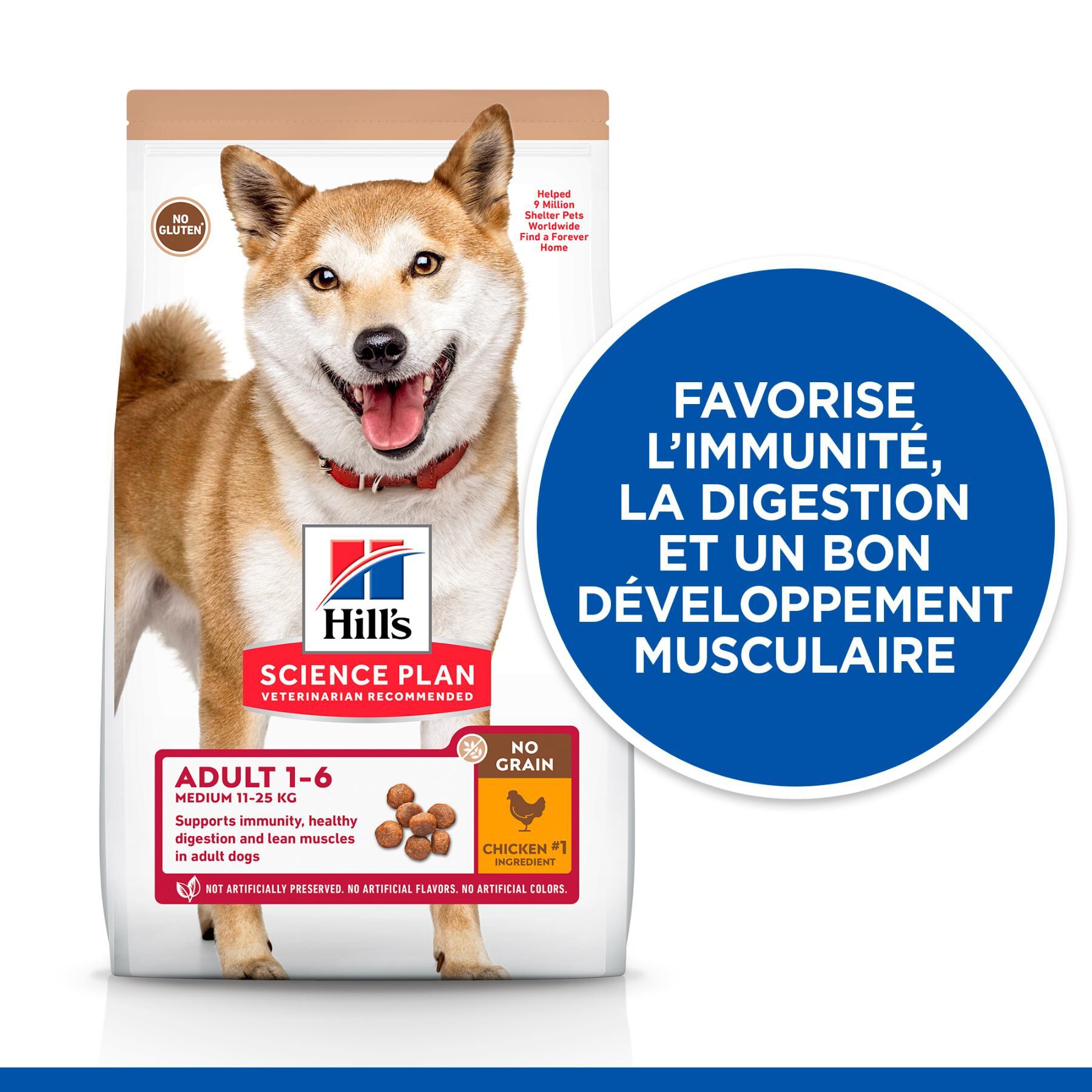 Hill's Science Plan - No Grain Adult Croquettes Sans C&eacute;r&eacute;ales Pour Chien Adulte Au Poulet  - 12kg Image num&eacute;ro 2