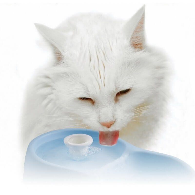 Cat H2O - Fontaine &agrave; Eau pour Chat - Bleu Image num&eacute;ro 5