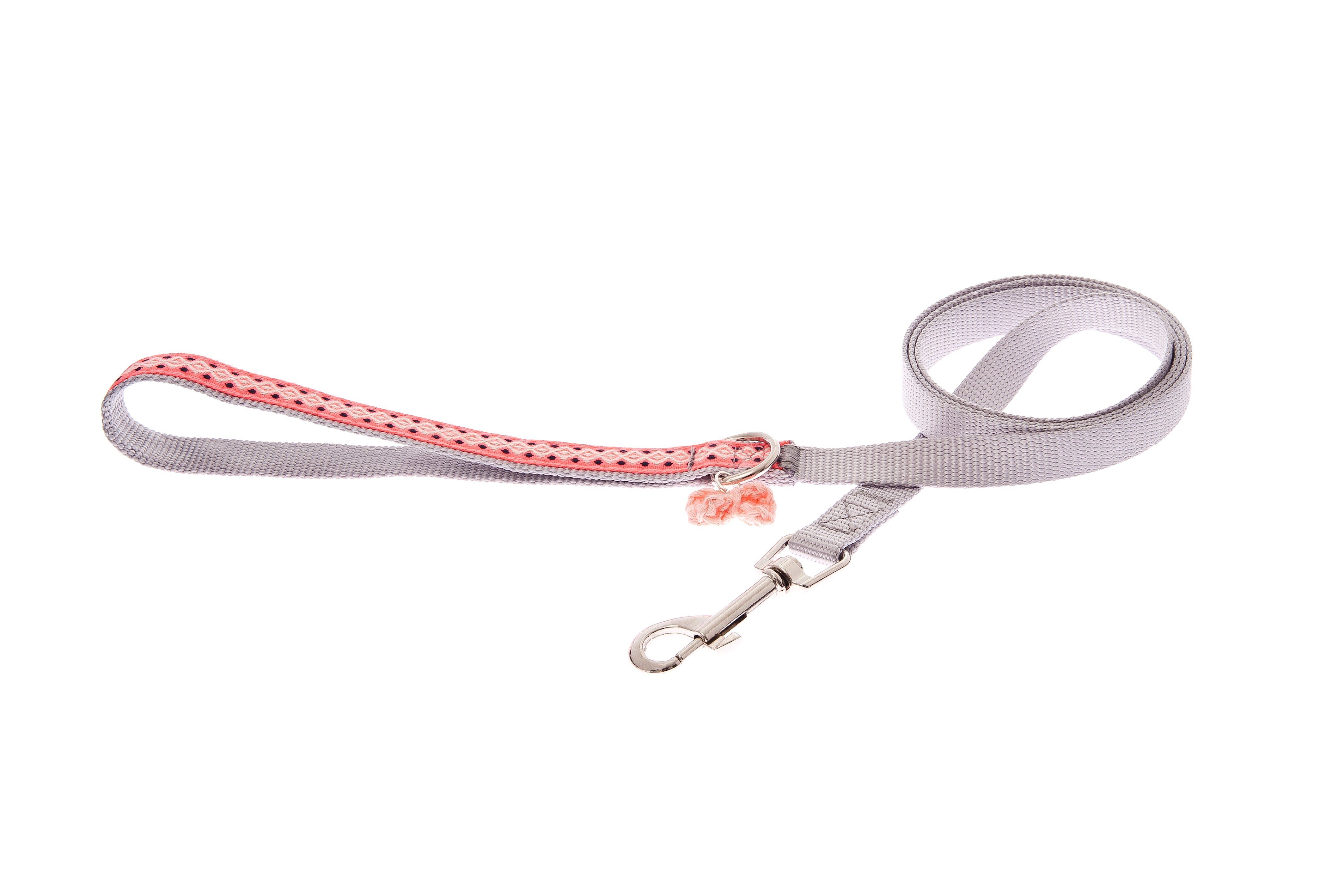 Ferribiella - Ensemble Laisse + Harnais R&eacute;glable Gris pour Chats - S Image num&eacute;ro 3