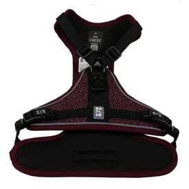 Duvoplus - Harnais Fashion Ultimate Fit No-Pull Prune pour Chiens