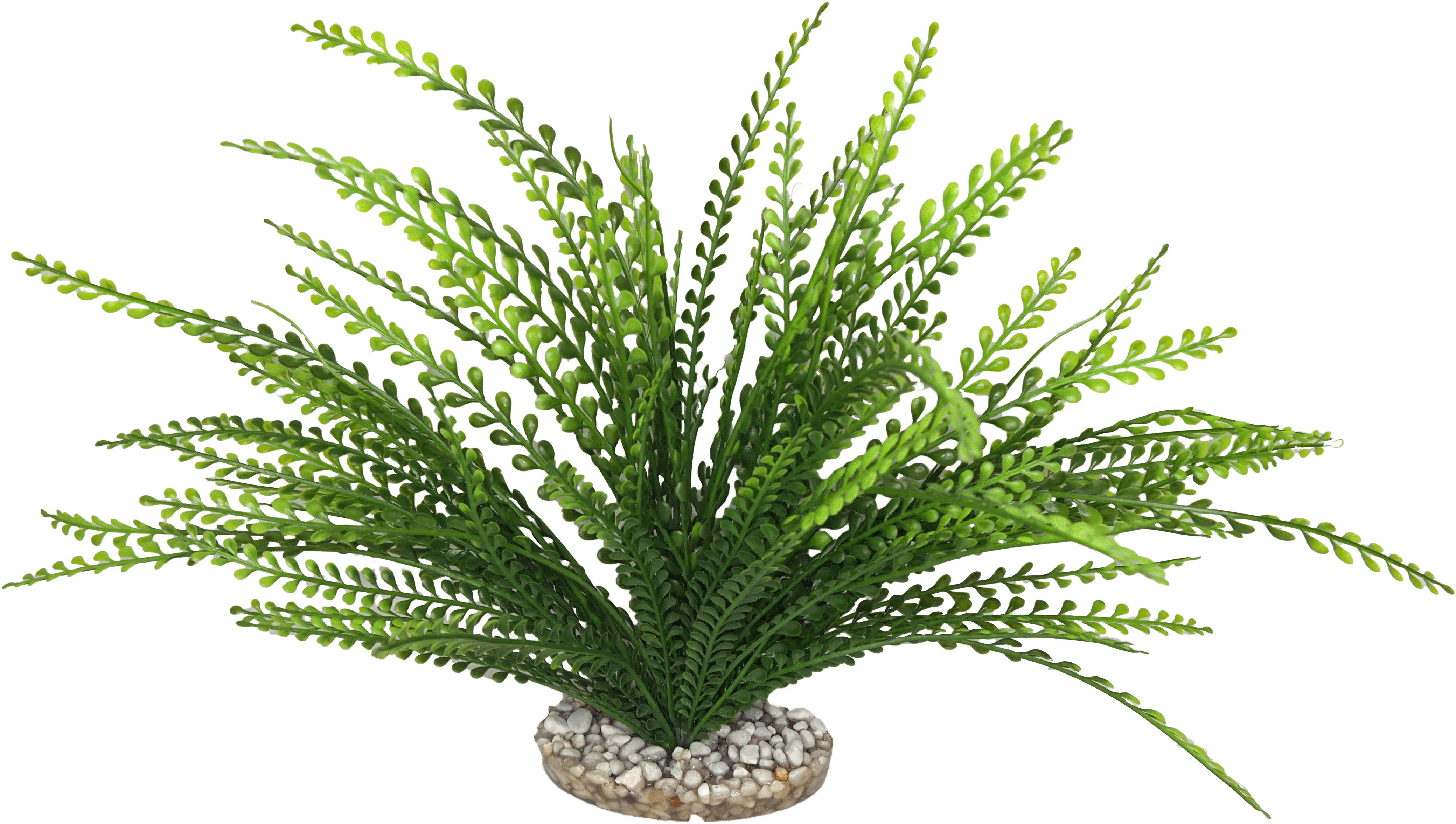 Labeo - Fond de d&eacute;cor - Plante Artificielle Aquarium Image num&eacute;ro 2