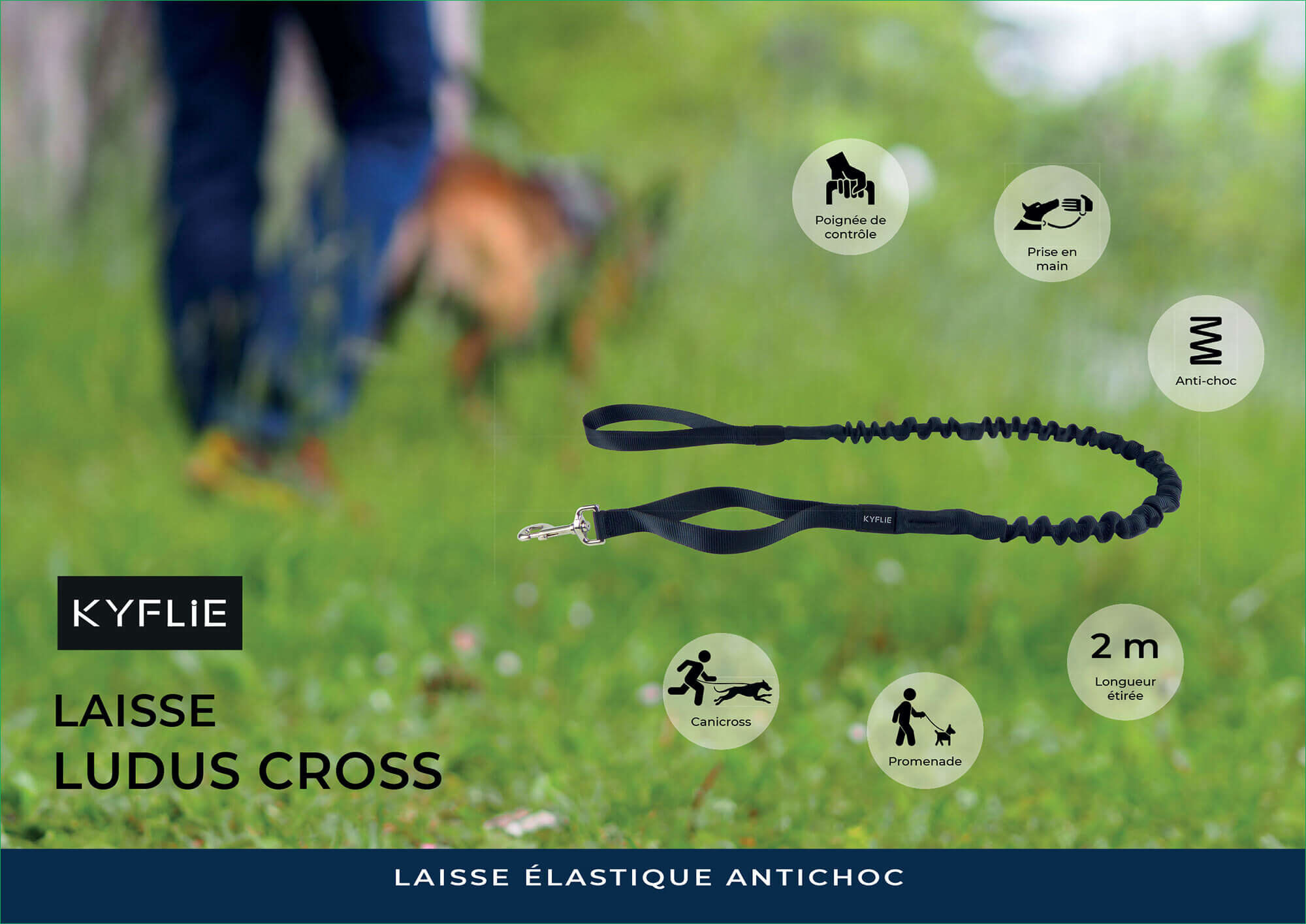 Kyflie - Laisse &eacute;lastique Anti-chocs LUDUS CROSS Noir pour Chien - 2m Image num&eacute;ro 3
