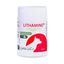 Greenvet - Comprimés Lithamine Spécial Reins pour Chiens - x30 Indicateur image numéro 1