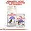 Royal Canin - Croquettes Sterilised 37 pour Chat - 400g Indicateur image numéro 7