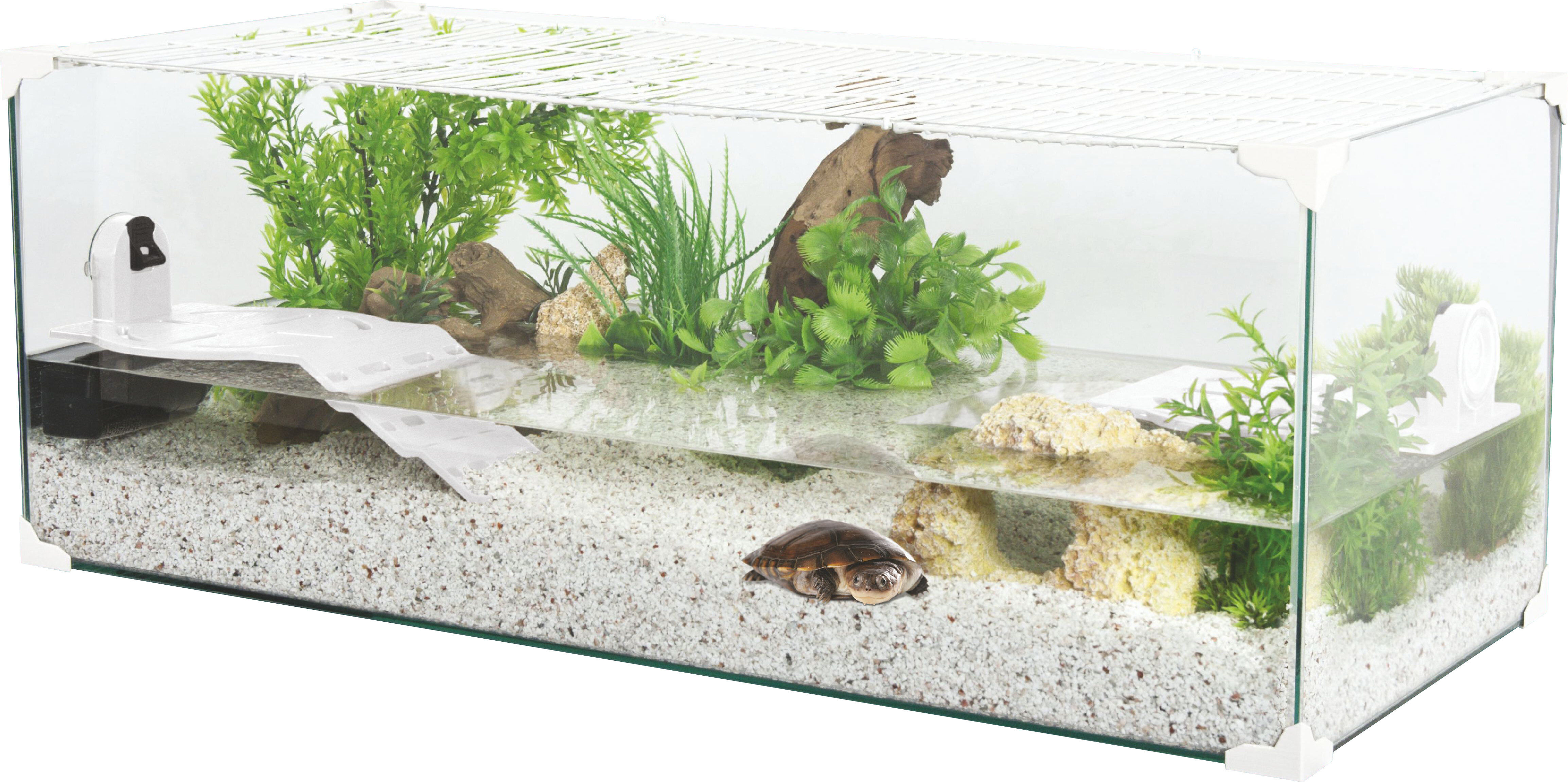 Zolux - Aquarium Karapas Blanc Pro pour Tortues - 100cm/120L Image num&eacute;ro 1