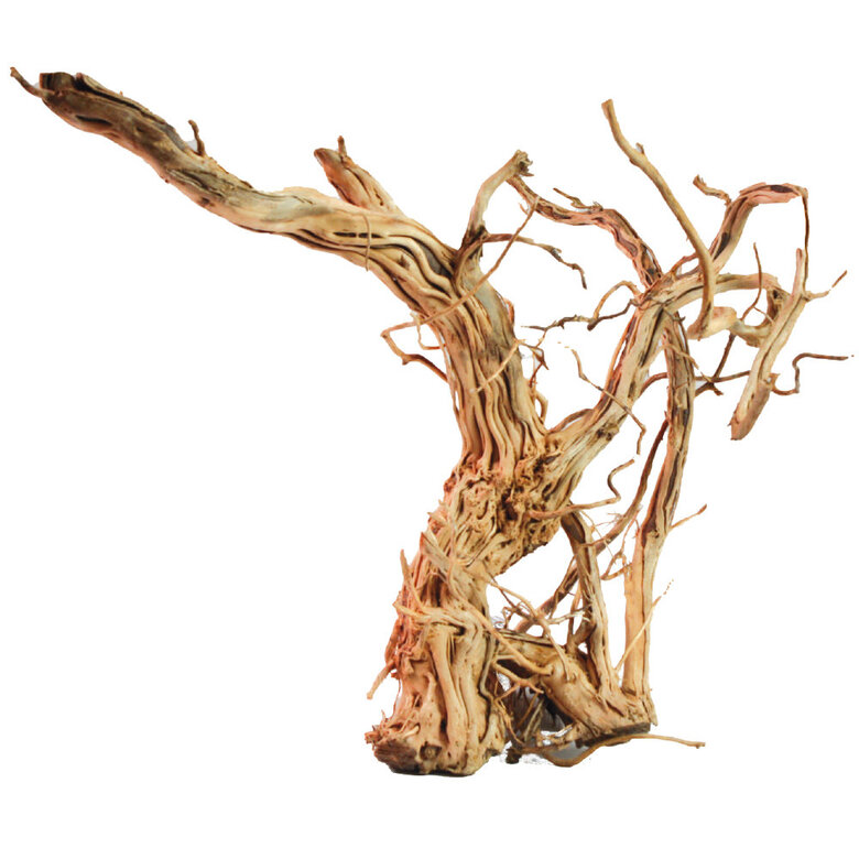 Amtra - Racine Bois Dragon Skin - S Image numéro 1 Amtra - Racine Bois Dragon Skin - S Image numéro 1