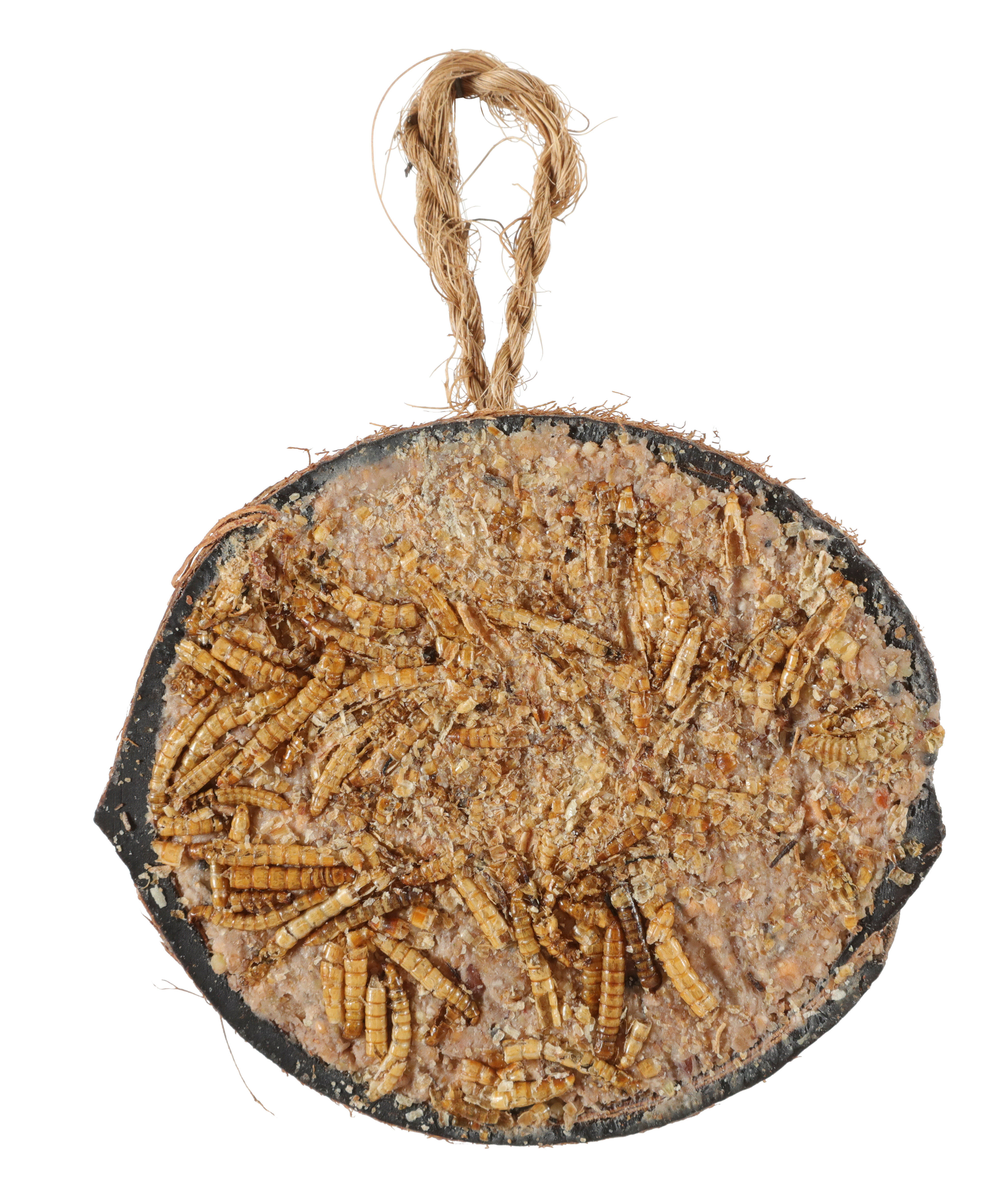 Zolux - Demi noix de coco avec graisse et vers de farine - 200g Image num&eacute;ro 1