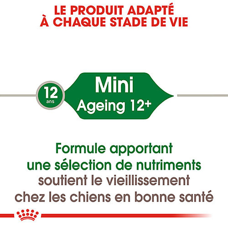 Royal Canin - Sachets Mini Ageing 12+ en Sauce pour Chien - 12X85g image number null