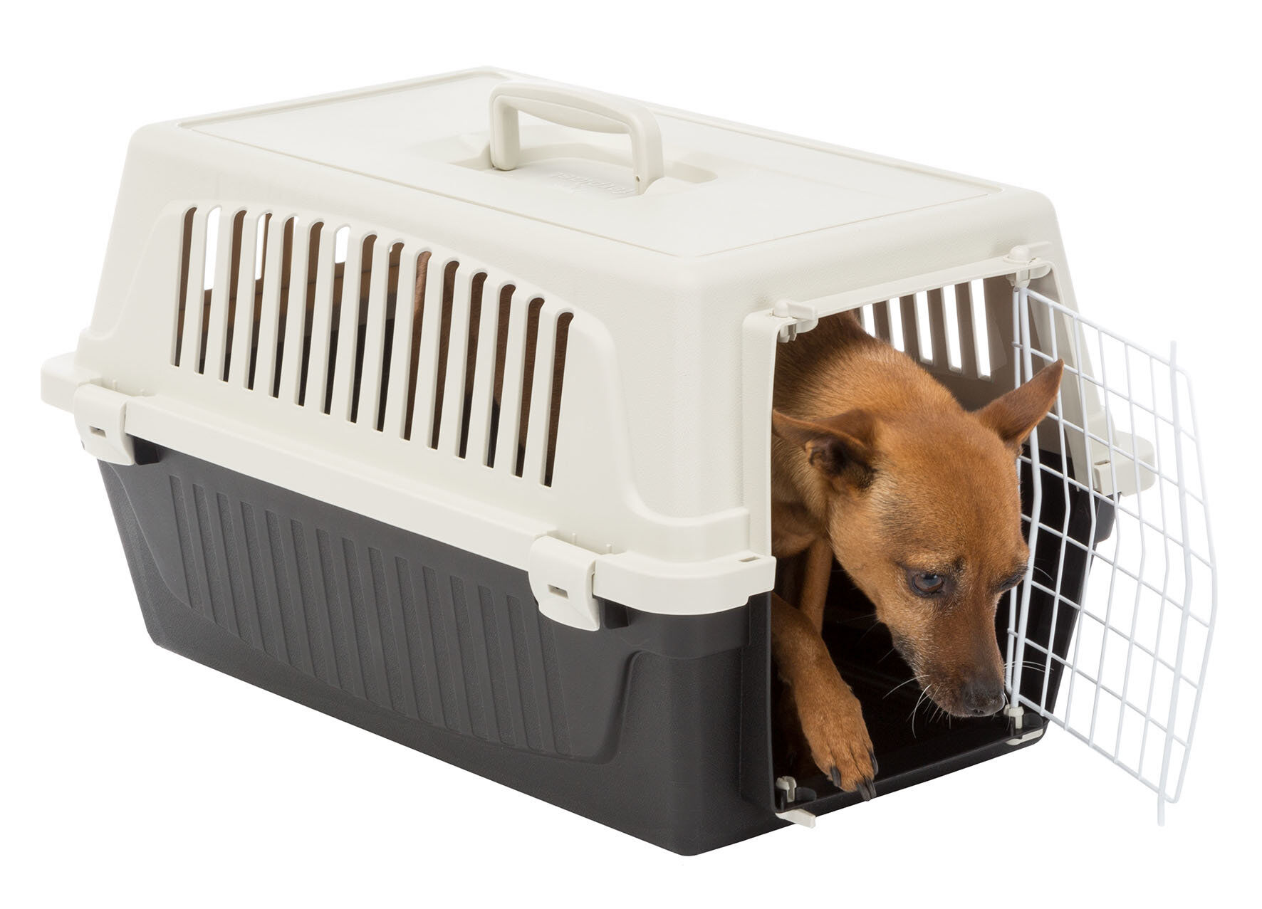 Ferplast - Panier de Transport Atlas 20 EL - Noir/Beige Image num&eacute;ro 3