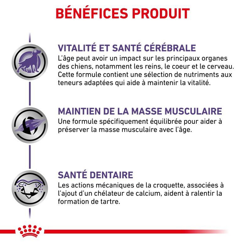 Royal Canin - Croquettes Expert Mature Consult Small Dogs pour Chiens - 3,5Kg Image numéro 5 Royal Canin - Croquettes Expert Mature Consult Small Dogs pour Chiens - 3,5Kg Image numéro 5