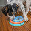 Outward Hound - Jeu de Réflexion Puppy Lickin' Layers Indicateur image numéro 6