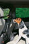 Zolux - Grille de Sécurite Auto Centrale pour Chien Indicateur image numéro 3