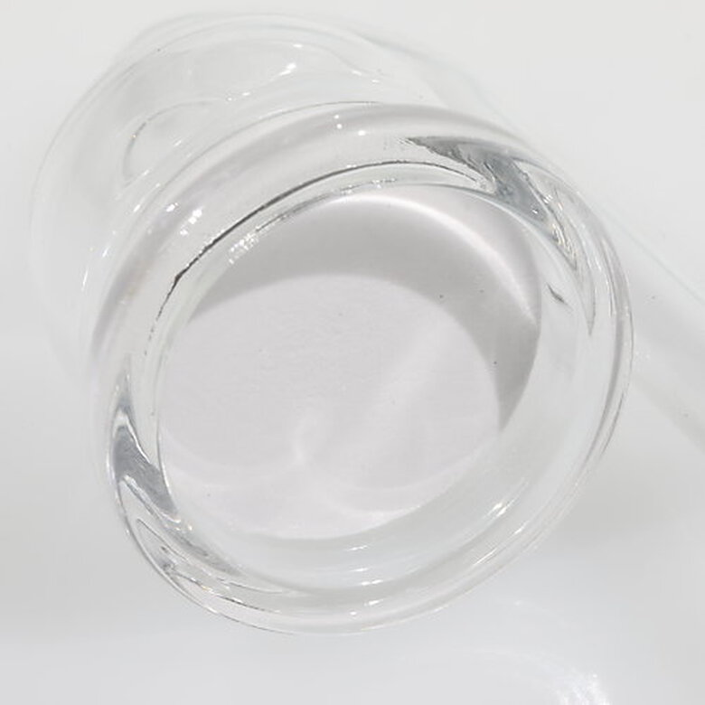 JBL - Diffuseur CO2 Proflora Taifun Glass Midi pour Aquarium Eau Douce image number null