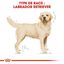 Royal Canin - Croquettes Labrador pour Chiens Adultes de plus de 15 Mois - 12Kg Indicateur image numéro 3