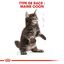 Royal Canin - Croquettes Maine Coon pour Chaton - 4Kg Indicateur image numéro 6