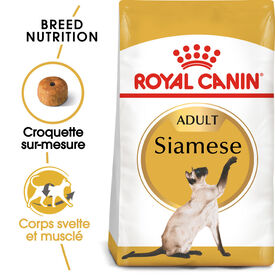 Royal Canin - Croquettes Siamese Adult Pour Chat