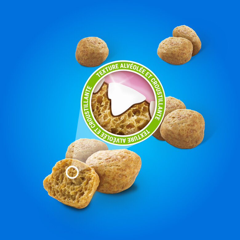 Dentalife - Friandises au Poulet pour chats adultes - 140g Image numéro 4 Dentalife - Friandises au Poulet pour chats adultes - 140g Image numéro 4