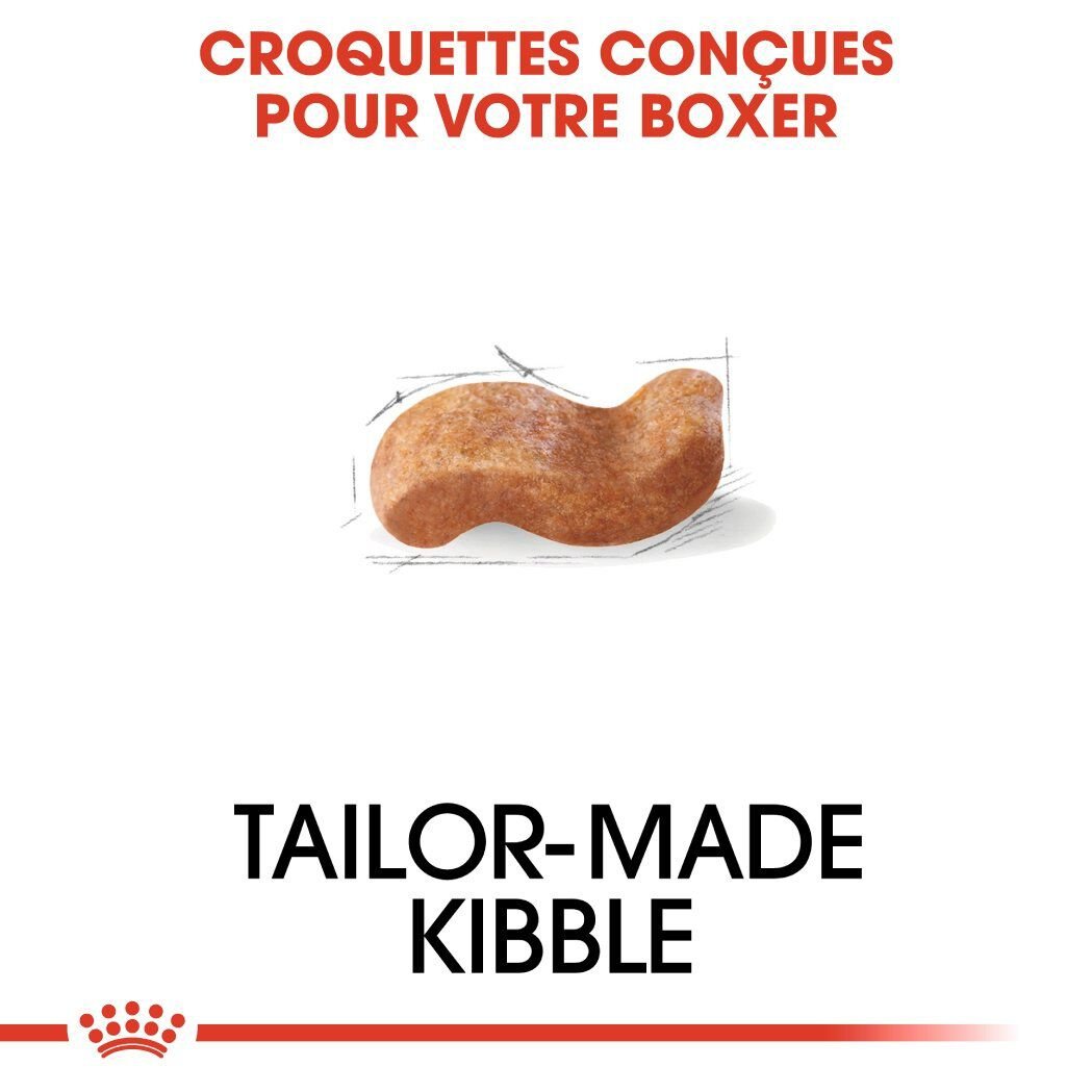 Royal Canin - Croquettes Boxer pour Chien Adulte - 12Kg Image num&eacute;ro 4
