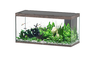 Aquatlantis - Aquarium SUBLIME 150 Led Chêne Brun - 545L