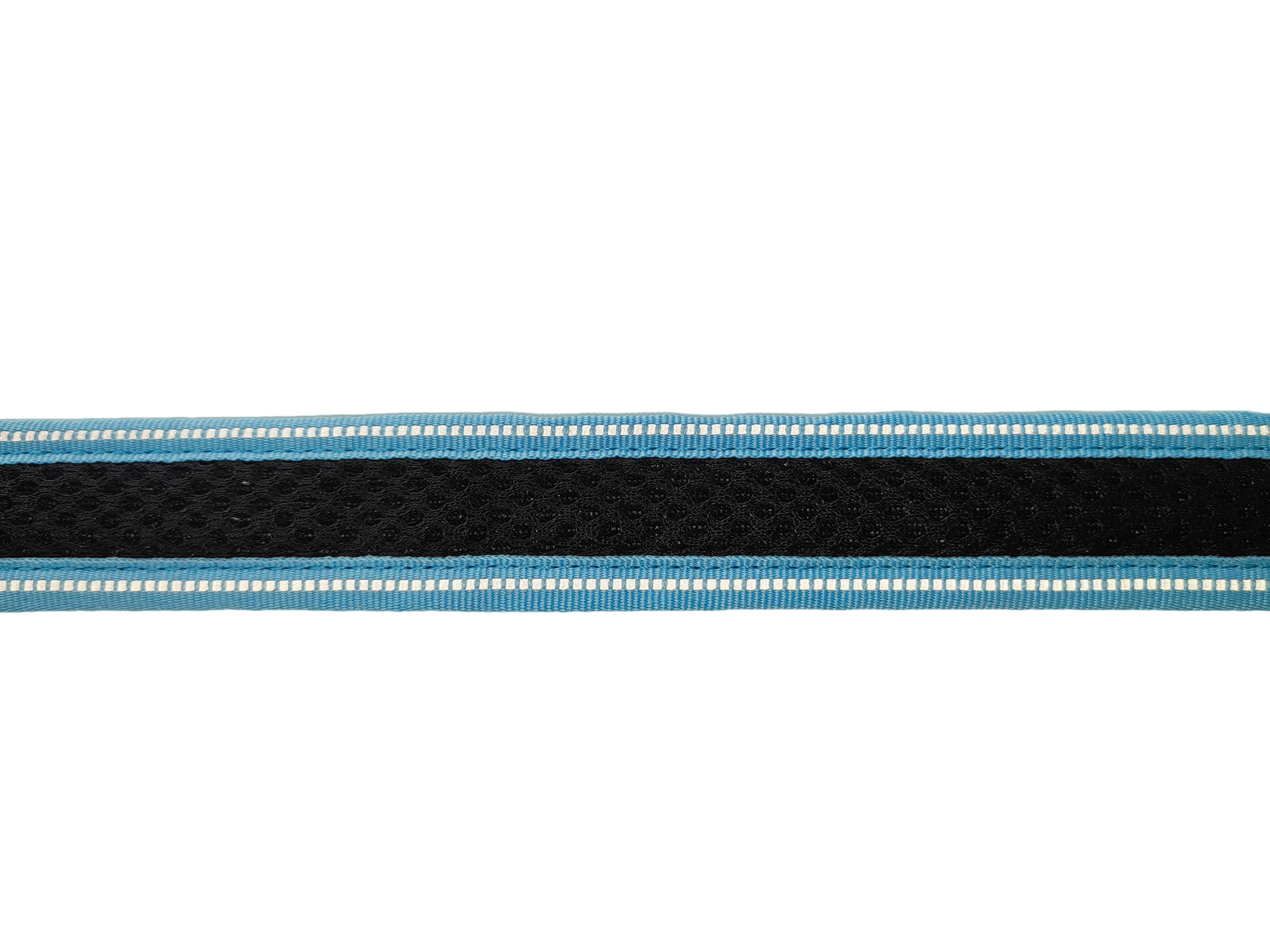 Gotoo - Collier Mesh Turquoise pour Chien - S Image num&eacute;ro 7