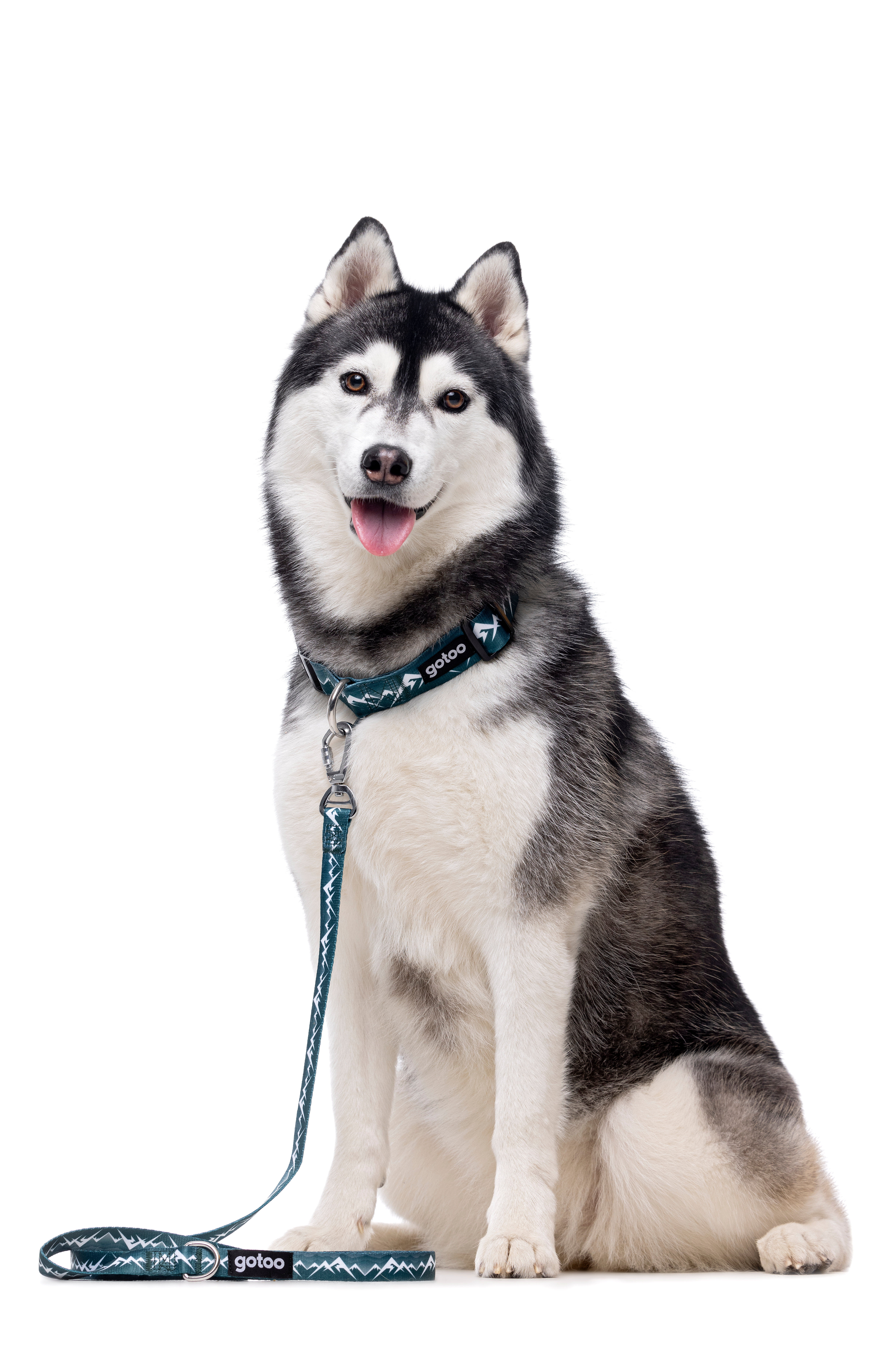 Gotoo - Collier Montagne pour Chien - XS Image num&eacute;ro 3