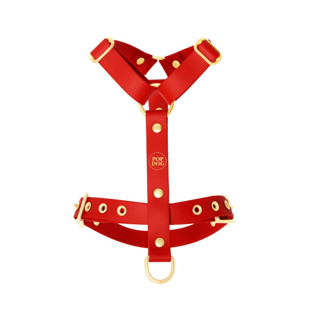 Pop Dog - Harnais &agrave; &oelig;illets Diablotin Rouge pour Chiens - M Image num&eacute;ro 1