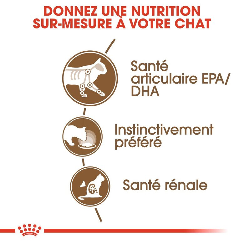 Royal Canin - Sachets Ageing 12+ en Sauce pour Chat - 12x85g Image numéro 3 Royal Canin - Sachets Ageing 12+ en Sauce pour Chat - 12x85g Image numéro 3