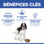 Hill's Science Plan - Adult Boite Pour Chien Au B&oelig;uf  - 370g Indicateur image num&eacute;ro 7