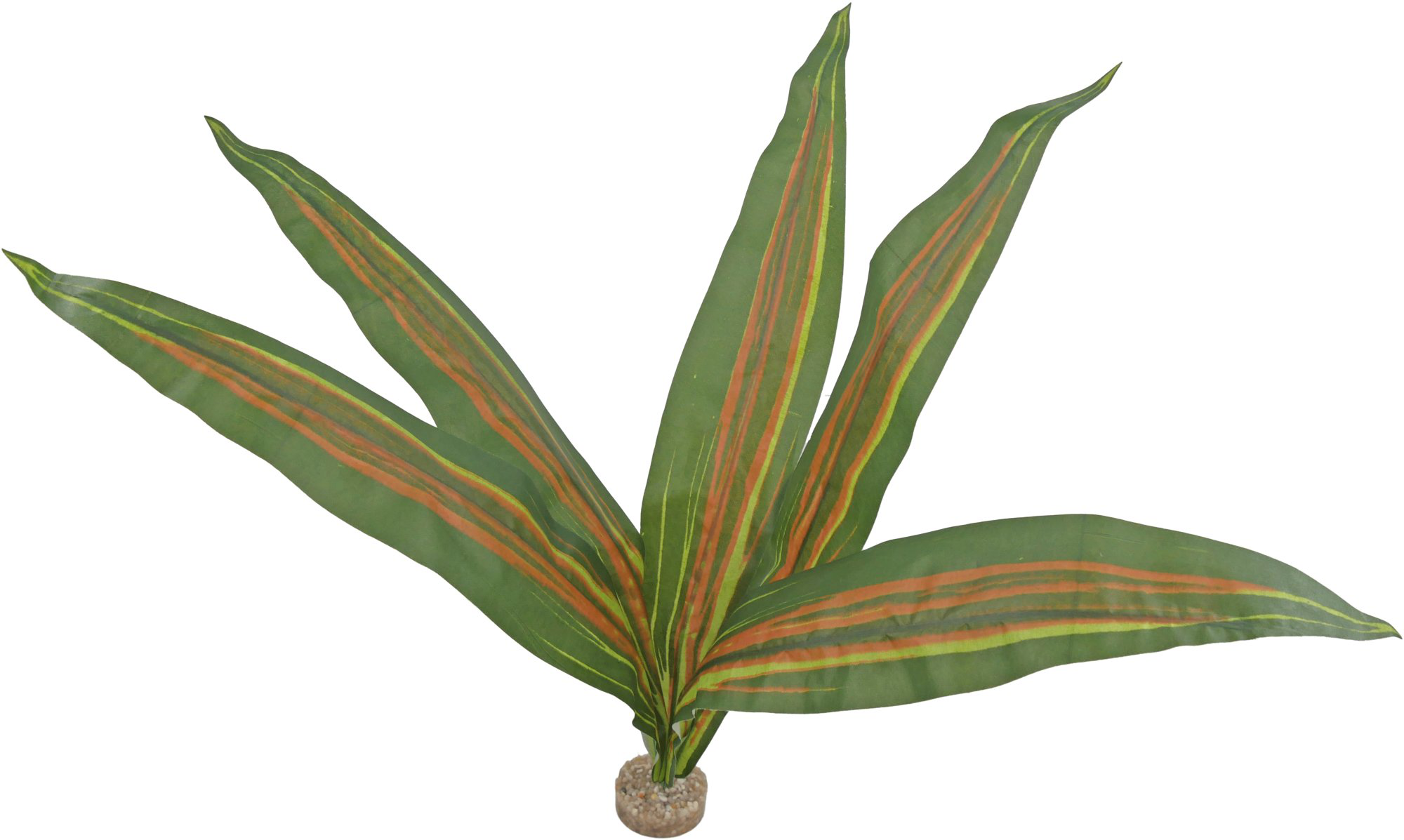 Labeo - Plante Verte D&eacute;corative pour Terrarium - GM Image num&eacute;ro 3